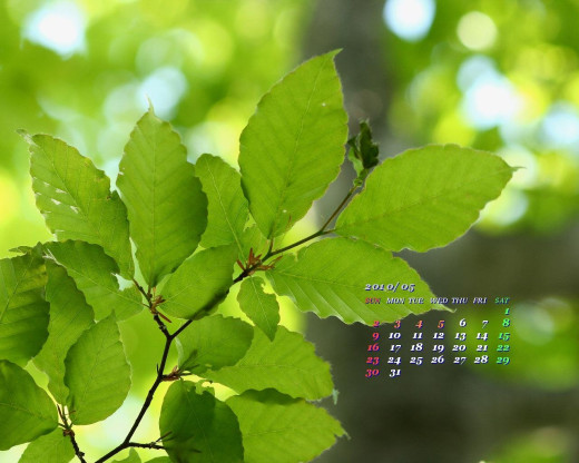 402688 (a): :1280x1024